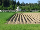 DSC02644.JPG