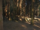DSC02645.JPG